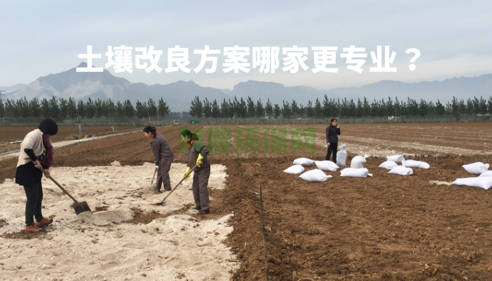 土壤改良方案哪家更專業？怎么比較？